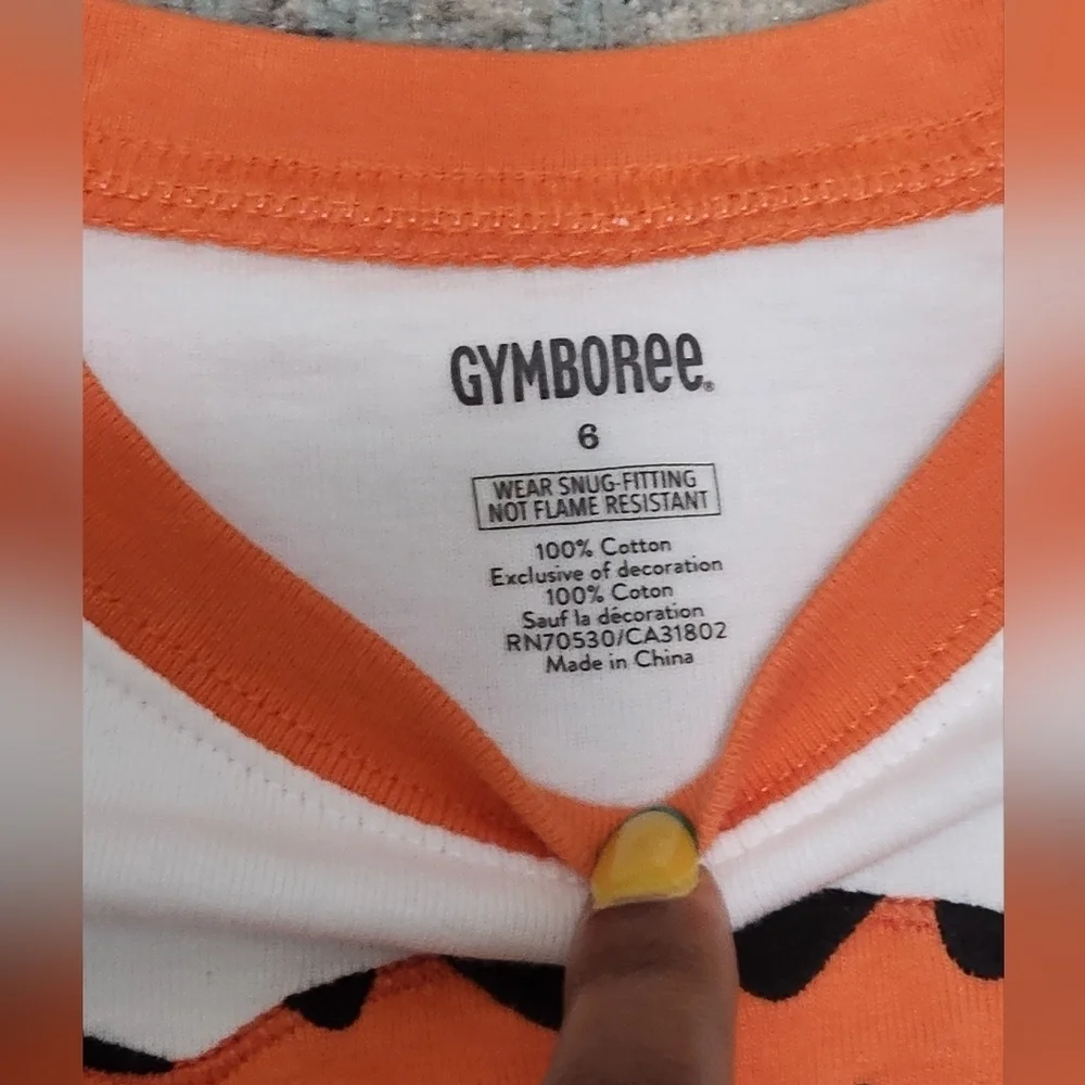 Gymboree Tiger Graphic Shirt Shorts Set Boy Size 6